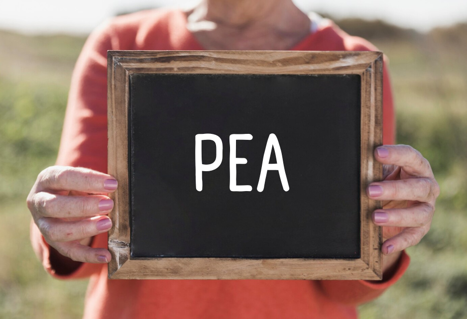 pea ibs sibo darm