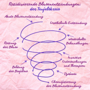 Rezidivierende Blasenentzündung: Wie ein scheinbar ‚einfaches‘ Problem chronisch wird
